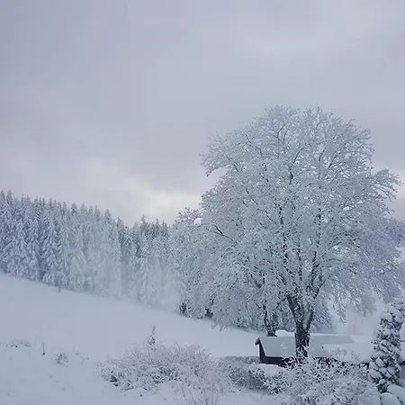 Altastenberg Winterberg