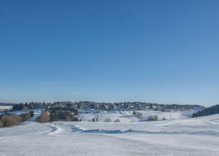 Altastenberg