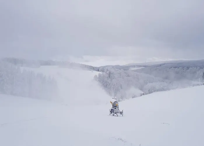 奥塔滕堡酒店 酒店