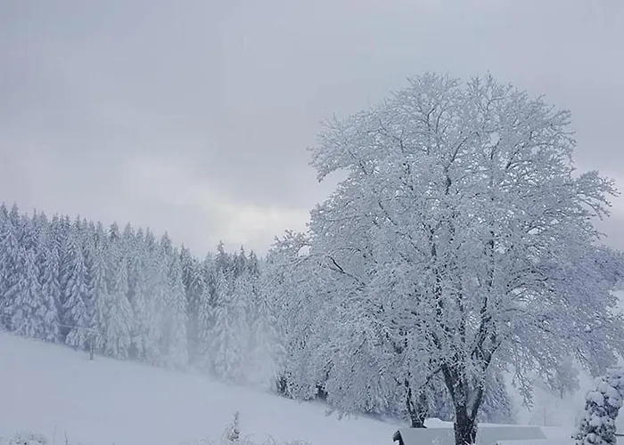 奥塔滕堡酒店 温特贝格
